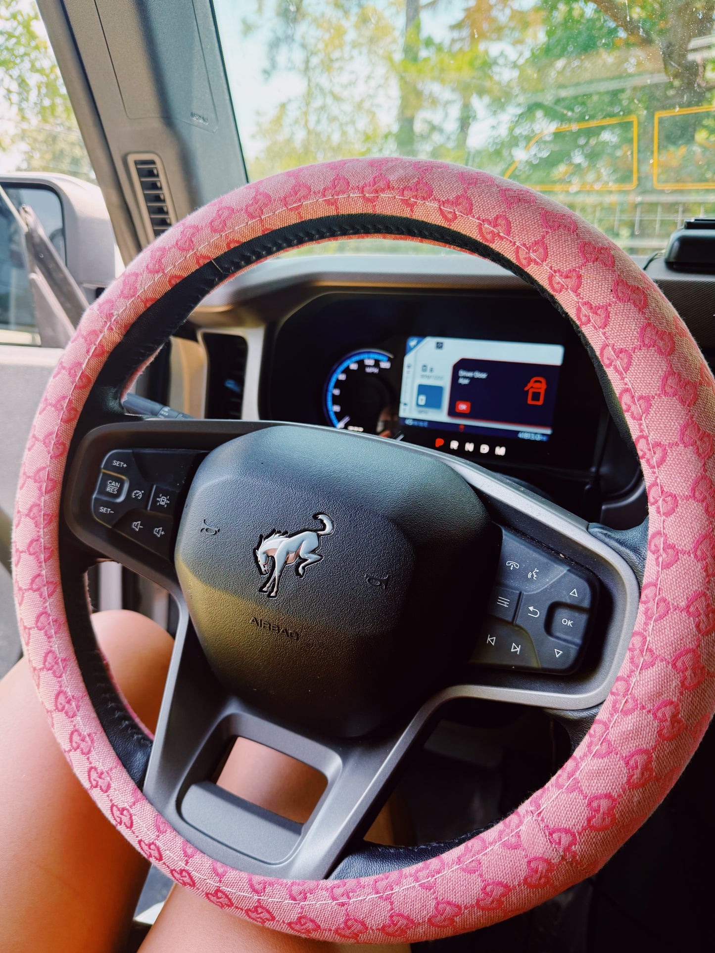 Preorder - Gianna Steering Wheel Cover